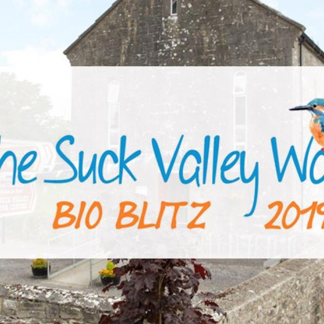 Suck Valley Way News Suck Valley Way BioBlitz
