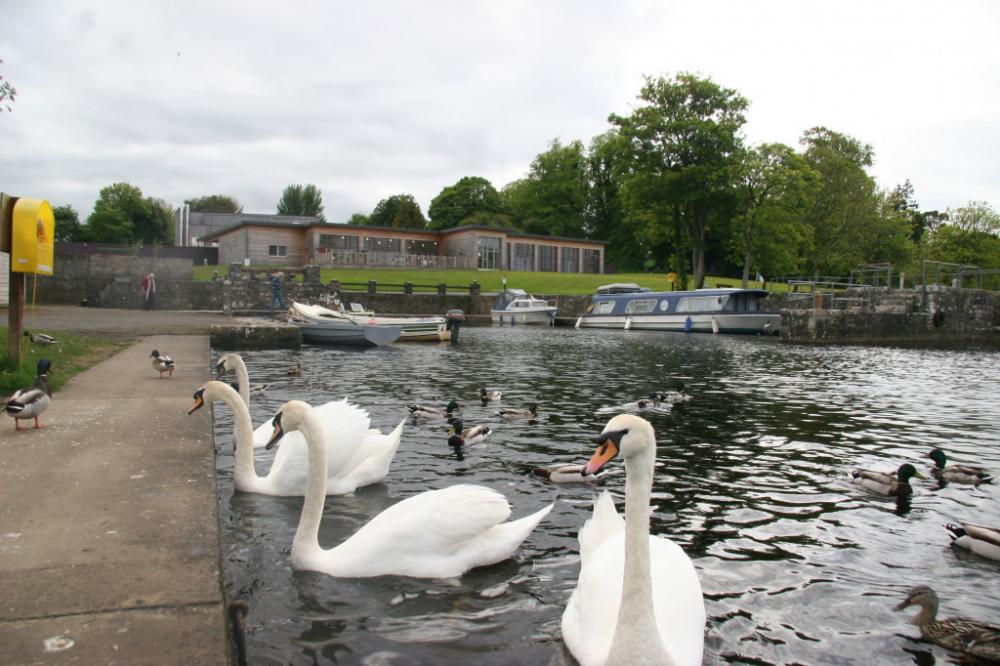 Suck Valley Way Lough Key Forest and Activity Park