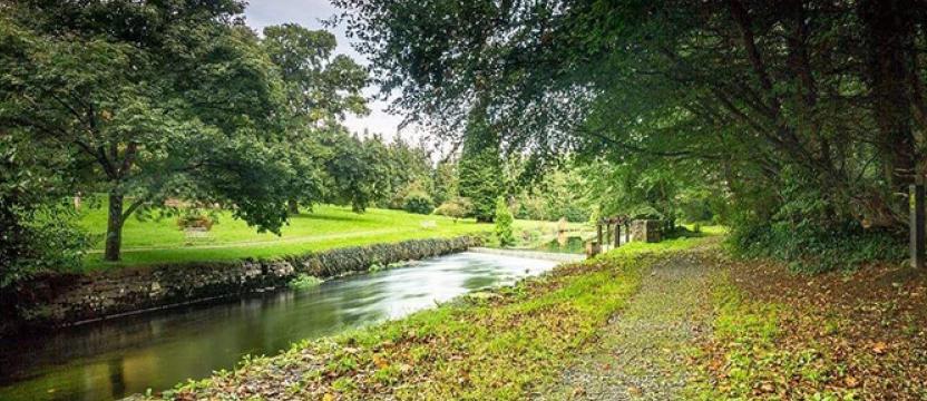 Suck Valley Way Castlerea Trails